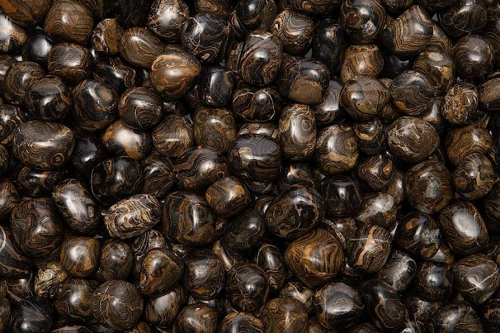 Stromatolite Tumbled Stones